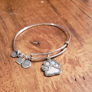 Alex and Ani bracelet